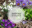 В УКРАЇНІ ПРОВОДИТЬСЯ АКЦІЯ "ПЕРВОЦВІТ"