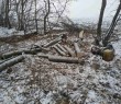 ПОЛІЦІЯ, ПРОКУРАТУРА ТА СЕЛИЩНА РАДА РАЗОМ ВЕДУТЬ БОРОТЬБУ З НЕЗАКОННОЮ ВИРУБКОЮ НА ТЕРИТОРІЇ ГРОМАДИ