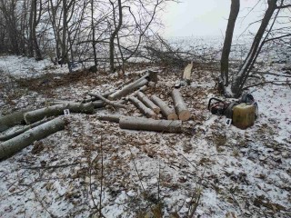 ПОЛІЦІЯ, ПРОКУРАТУРА ТА СЕЛИЩНА РАДА РАЗОМ ВЕДУТЬ БОРОТЬБУ З НЕЗАКОННОЮ ВИРУБКОЮ НА ТЕРИТОРІЇ ГРОМАДИ