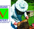 Grand Expert сервіс сповіщення для бджолярів