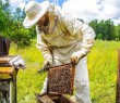 До уваги пасічників!