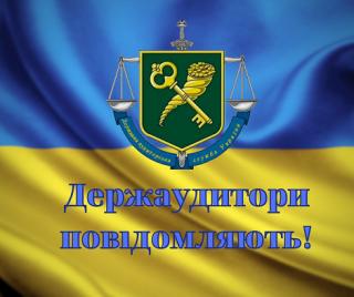 Держаудитори під час моніторингу закупівель виявили порушення на суму 203 млн гривень