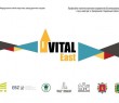 Запрошуємо ВПО до участі у проєкті VITAL EAST
