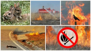 Будьте відповідальними: НЕ ПАЛІТЬ СТЕРНЮ!