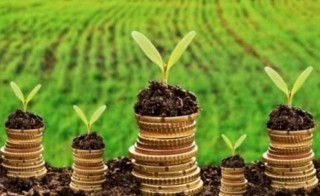 Не здійснювали викиди, але передали нерухомість в оренду: наслідки з екологічного податку