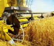Операція «Урожай»