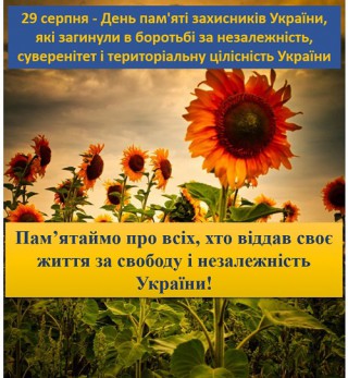 Коментар Борівського селищного голови Олександра Тертишного до Дня пам'яті захисників України