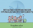 ВИЗНАЧЕНО ПЕРЕМОЖЦІВ ГРОМАДСЬКОГО БЮДЖЕТУ БОРІВСЬКОЇ СЕЛИЩНОЇ РАДИ - 2021!