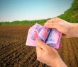 Від чого залежить розмір орендної плати за орендовані земельні паї