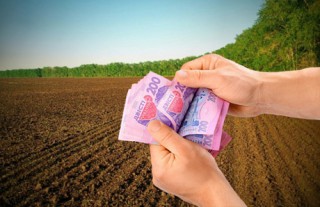 Від чого залежить розмір орендної плати за орендовані земельні паї