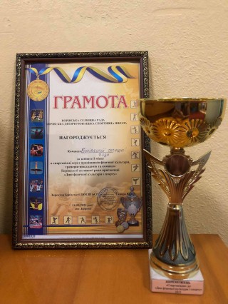 У Боровій День фізичної культури і спорту відзначили Спартакіадою