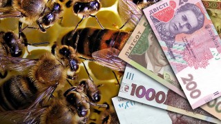 Пасічники можуть отримати дотацію за бджолосім'ї