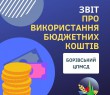 Звіт про використання коштів, виділених з селищного бюджету Борівському ЦПМСД за січень - листопад 2021 року