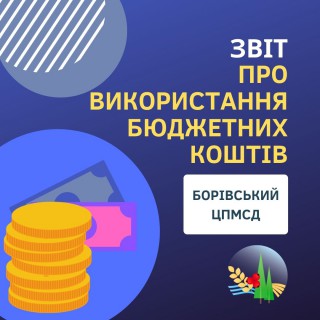 Звіт про використання коштів, виділених з селищного бюджету Борівському ЦПМСД за січень - листопад 2021 року