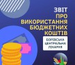 Звіт про використання коштів, виділених з селищного бюджету Борівській центральній лікарні за січень - листопад 2021 року