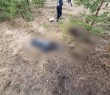 У БОРІВСЬКОМУ ЛІСІ НА МІНАХ ПІДІРВАЛОСЯ ПОДРУЖЖЯ БОРІВЧАН