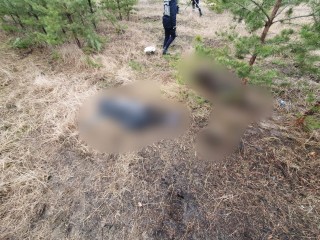 У БОРІВСЬКОМУ ЛІСІ НА МІНАХ ПІДІРВАЛОСЯ ПОДРУЖЖЯ БОРІВЧАН