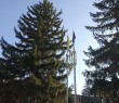Звернення Олександра Тертишного до Дня визволення Борівщини від російських окупантів