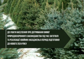 Про дотримання вимог природоохоронного законодавства під час заготівлі та реалізації хвойних насаджень в передноворічний період