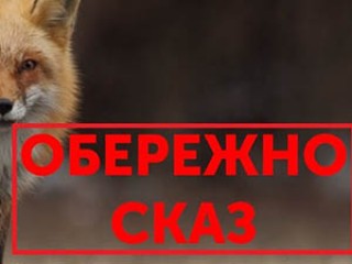 У Харківській область зареєстровано смерть від сказу