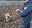 Щоденні ворожі обстріли Борової продовжуються