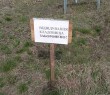 У Борівській громаді діють обмеження на відвідування місць поховань