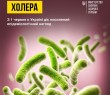 З 1 червня в Україні діє посилений епідемічний нагляд за холерою