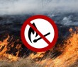 Не паліть суху стерню та залишки рослинності!