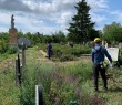 Оперативна інформація про ситуацію в Борівській громаді станом на 23 червня 2025 року