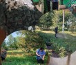 Оперативна інформація про ситуацію в Борівській громаді станом на 8 липня 2025 року