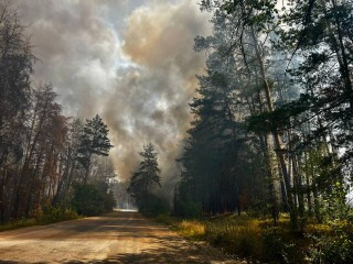 Оперативна інформація про ситуацію в Борівській громаді станом на 11 липня 2025 року