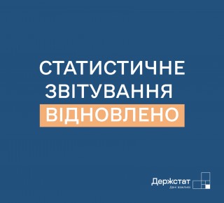Відновлено обов’язкове подання статистичної та фінансової звітності