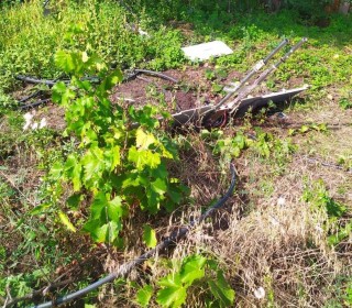 Оперативна інформація про ситуацію в Борівській громаді станом на 8 серпня 2025 року