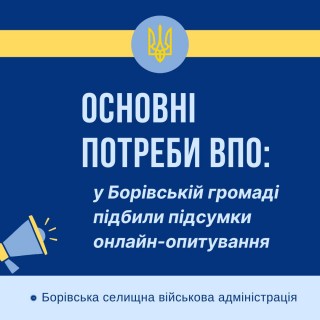 Основні потреби ВПО: у Борівській громаді підбили підсумки онлайн-опитування внутрішньо-переміщених осіб
