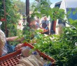 Оперативна інформація про ситуацію в Борівській громаді станом на 29 серпня 2025 року