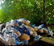 Оперативна інформація про ситуацію в Борівській громаді станом на 3 вересня 2025 року
