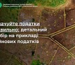 Сплачуйте податки правильно: детальний розбір на прикладі  майнових податків