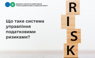Що таке система управління податковими ризиками?