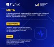 Розпочато реалізацію експериментального проєкту цифровізації взаємодії держави з бізнесом — “Пульс”