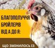 Благополуччя бройлерів від А до Я: що змінилось із 1 січня 2026 року