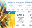 Юні мовознавці з Борівської громади успішно взяли участь у Всеукраїнському відкритому марафоні з української мови