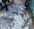 Ситуація в Борівській громаді станом на 5 лютого 2026 року