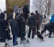 Ситуація в Борівській громаді станом на 9 лютого 2026 року