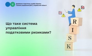 Що таке система управління податковими ризиками? Роз'яснення податкової
