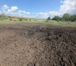 Ситуація в Борівській громаді станом на 12 травня 2026 року