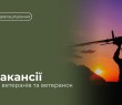 Ветеранів та ветеранок запрошують до команди з розробки та виробництва безпілотних систем