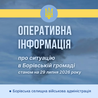 Ситуація в Борівській громаді станом на 29 липня 2026 року