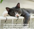 Опалювальний сезон 2026–2027 розпочався: як оформити субсидію